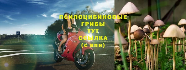 спайс Алзамай