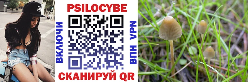 Псилоцибиновые грибы MAGIC MUSHROOMS  Фролово 